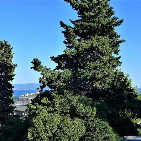 Spartium 스플리트