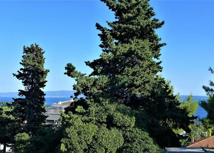 Spartium 스플리트